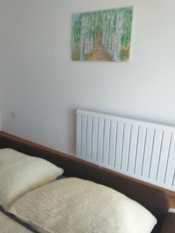 Apartment Primceva Marburgo Esterno foto